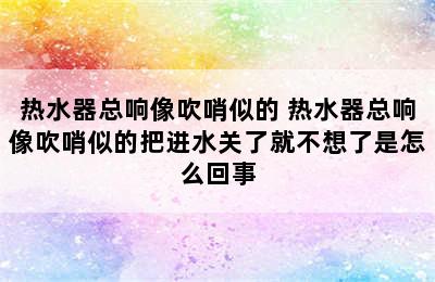 热水器总响像吹哨似的 热水器总响像吹哨似的把进水关了就不想了是怎么回事